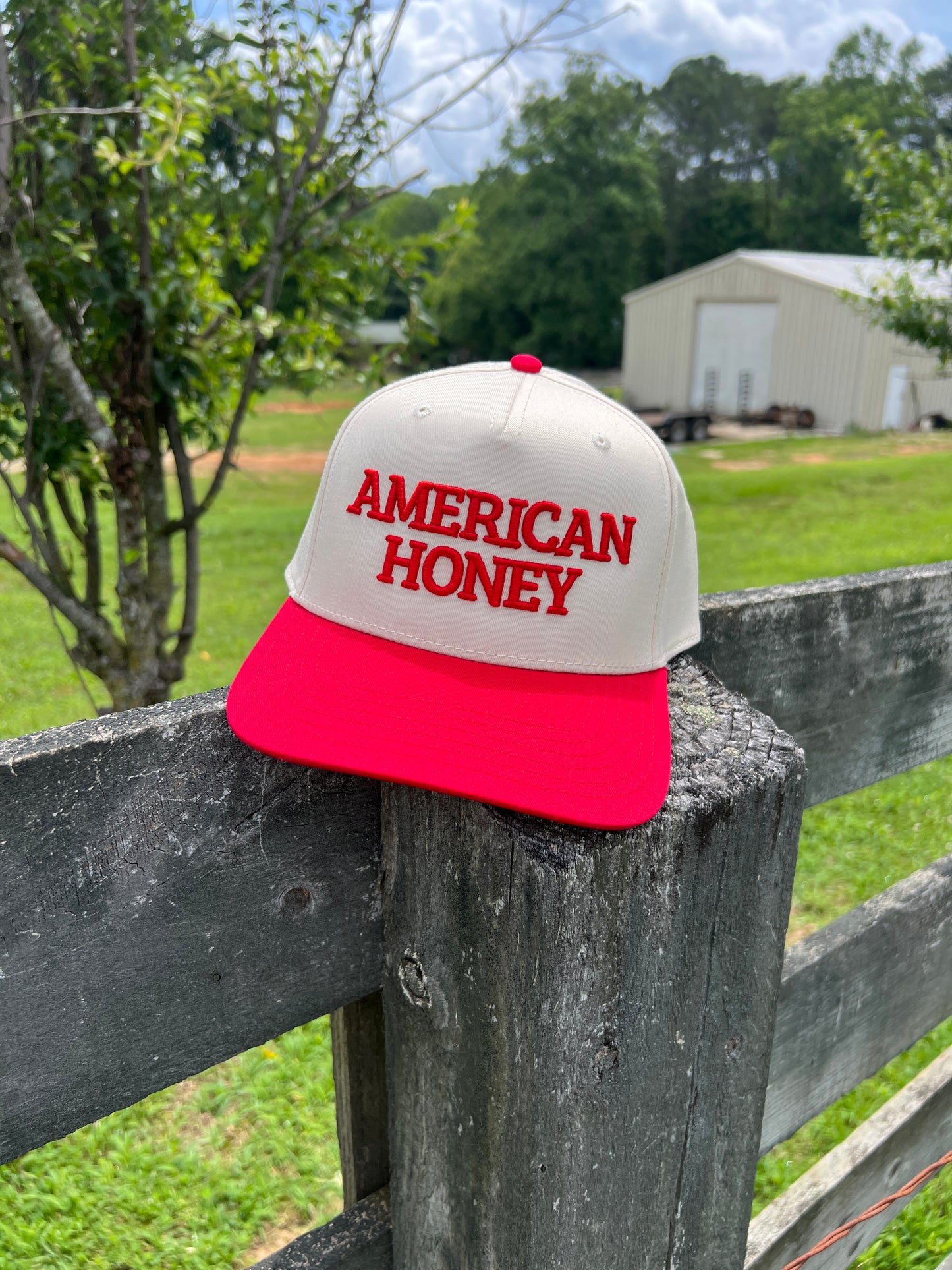 American Honey Trucker
