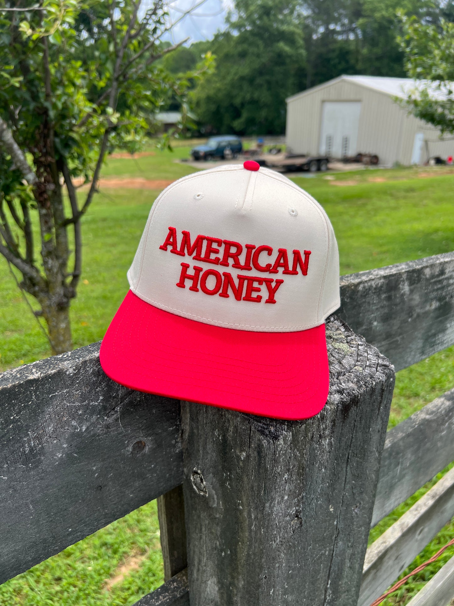 American Honey Trucker