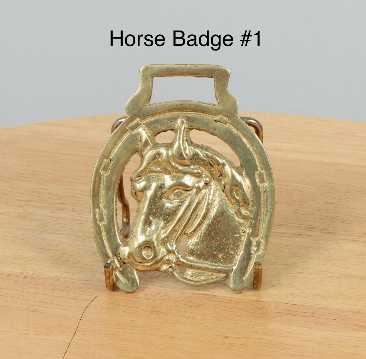 Vintage Badge Necklace